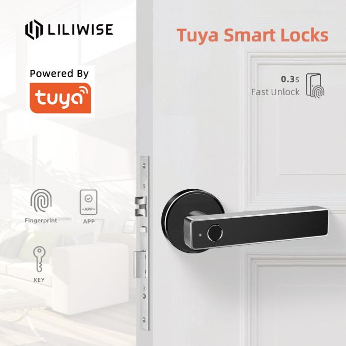 Serrure de porte intelligente Keyless biométrique de Digital de poignée de porte d'empreinte digitale de serrure de porte de Bluetooth d'appli de Tuya WiFi 0