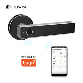 Serrure de porte intelligente Keyless biométrique de Digital de poignée de porte d'empreinte digitale de serrure de porte de Bluetooth d'appli de Tuya WiFi