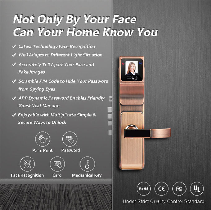Serrure infrarouge de poignée de porte de reconnaissance des visages de Smart 3D pour Family et Company 0