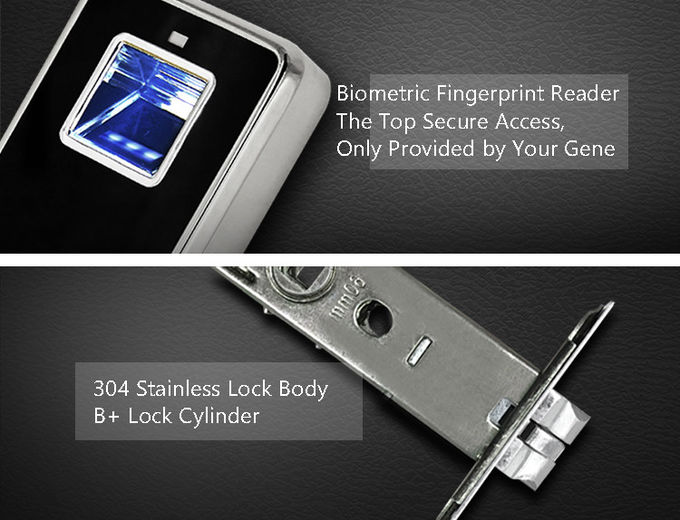 Reconnaissance rapide biométrique Keyless de serrure de porte d'empreinte digitale de couleur multi 1