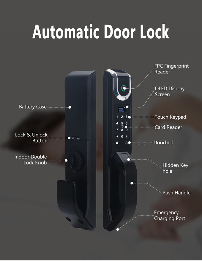 Serrure de porte automatique d'empreinte digitale biométrique de sécurité avec la FCC de RoHs de la CE de mortaise 0
