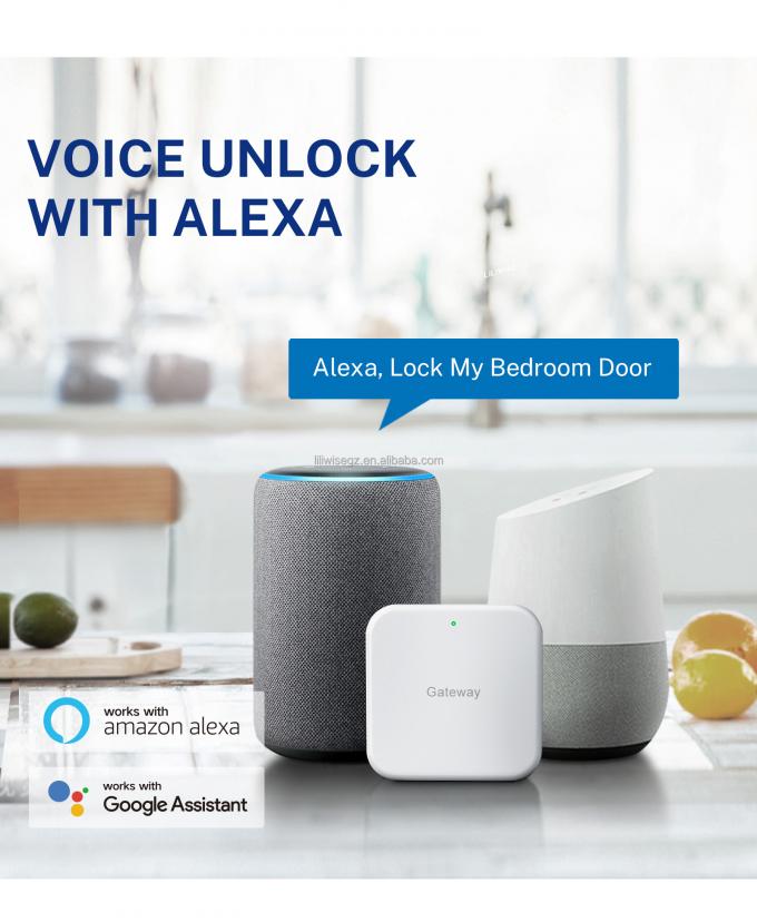 Tuya WiFi BLE Smart Door Lock avec empreinte digitale et clavier 4