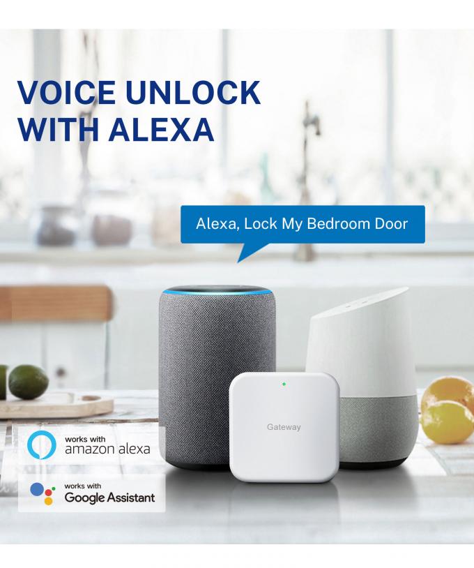 Liliwise Nouveau design verrouillage enti&egrave;rement automatique verrouillage num&eacute;rique d'empreintes digitales &eacute;lectronique verrouillage Tuya APP TTlock Smart Door Lock 24