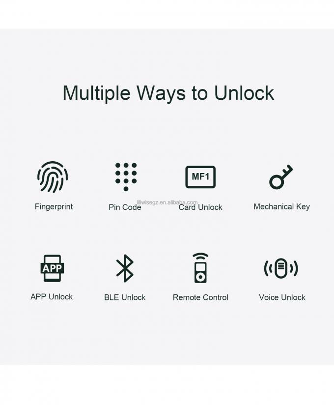 LILIWISE Fabricant de haute qualit&eacute; Fermeture &agrave; clef intelligente 2025 Tuya Wifi BLE Fermeture &agrave; clef &agrave; clef intelligente TTLOCK imperm&eacute;able 2