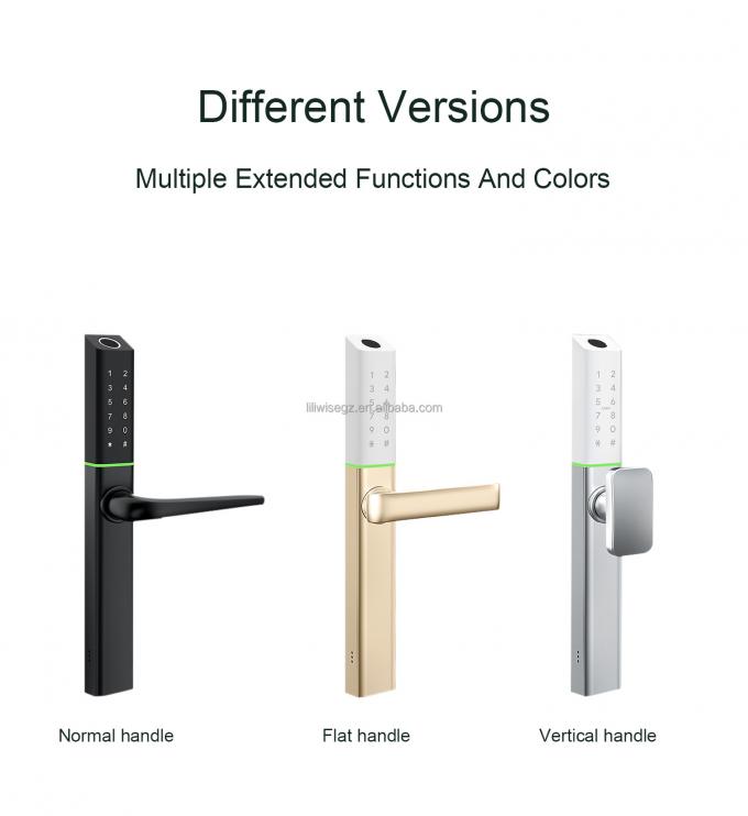 LILIWISE Fabricant de haute qualit&eacute; Fermeture &agrave; clef intelligente 2025 Tuya Wifi BLE Fermeture &agrave; clef &agrave; clef intelligente TTLOCK imperm&eacute;able 3