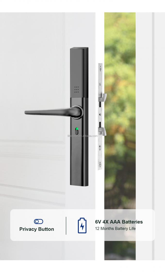 Wifi t&eacute;l&eacute;commande Ttlock empreinte digitale ultra-mince en aluminium Tuya porte coulissante smart verrous num&eacute;riques Slim Smart verrouillage avec application de d&eacute;verrouillage 10