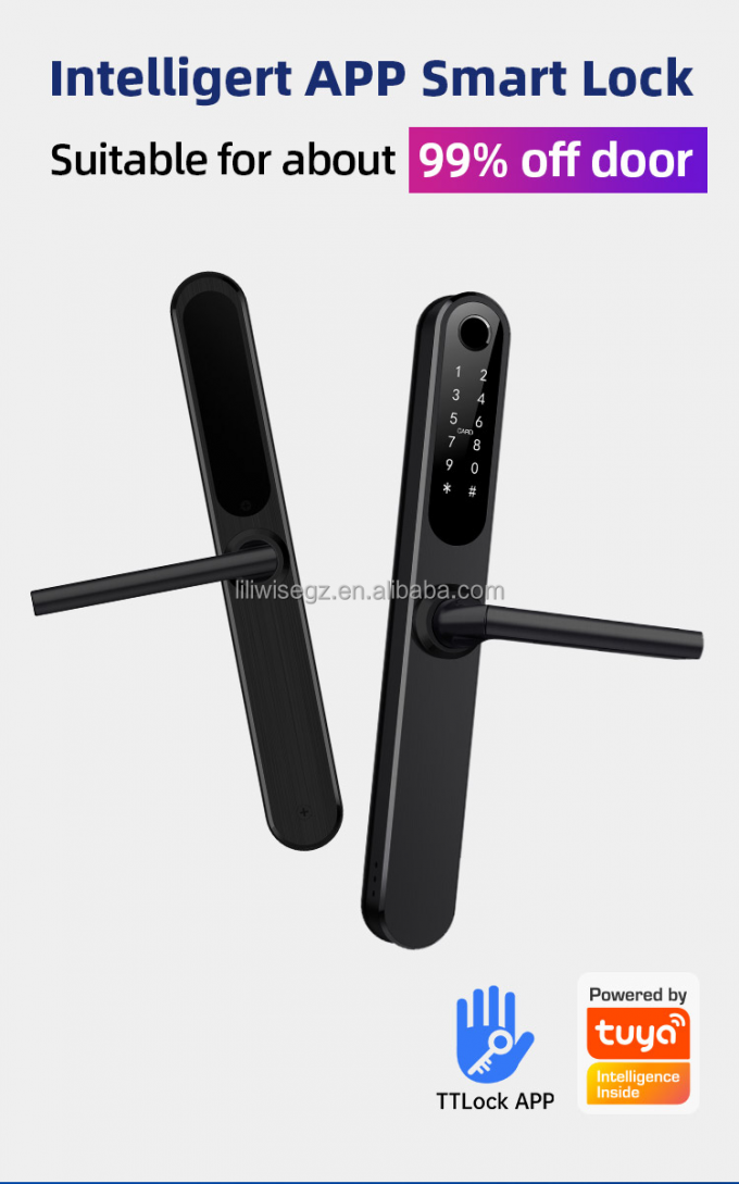 Liliwise imperm&eacute;able &agrave; l'eau Alexa aluminium acier Ip66 Smart Door Lock empreinte digitale Cerradura Electronica Ttlock Smart Lock avec Wifi 2