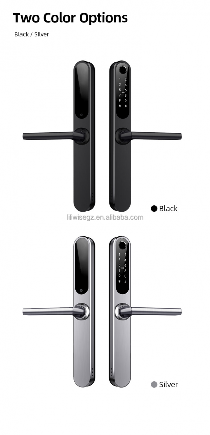 Liliwise imperm&eacute;able &agrave; l'eau Alexa aluminium acier Ip66 Smart Door Lock empreinte digitale Cerradura Electronica Ttlock Smart Lock avec Wifi 14