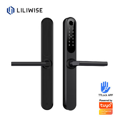 Liliwise imperméable à l'eau Alexa aluminium acier Ip66 Smart Door Lock empreinte digitale Cerradura Electronica Ttlock Smart Lock avec Wifi