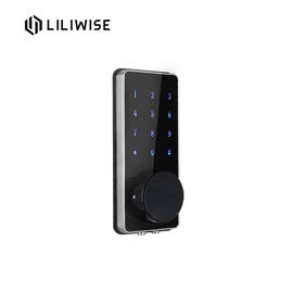 Serrure d'entrée principale intelligente de Bluetooth de pièce, serrures d'entrée principale en alliage de zinc intelligentes de mot de passe