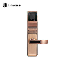 La serrure de porte électronique de Digital de haute sécurité, intelligente font face à la serrure de porte grillagée d'écran tactile