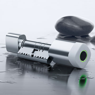 Carte d'empreinte digitale RFID de Liliwise Fermeture de porte imperméable réglable WiFi BLE Tuya Ttlock Fermeture à cylindre intelligent pour remplacer l'ancien mécanique