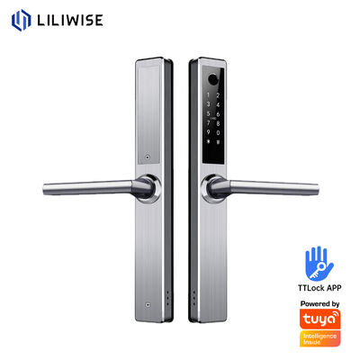 En acier inoxydable étanche à l'eau et à verrouillage intelligent extérieur Tuya Ttlock Wifi verrouillage de porte sans clé